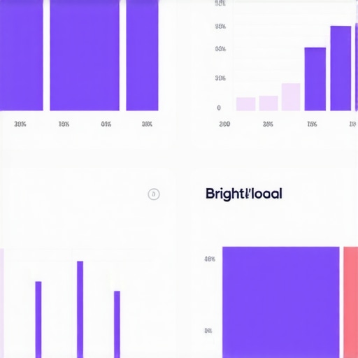 Screenshot showcasing local citation monitoring on BrightLocal